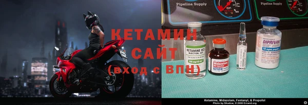 стаф Алексин