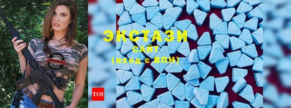 стаф Алексин