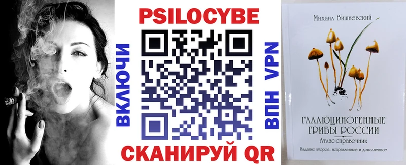 Псилоцибиновые грибы Psilocybe  даркнет наркотические препараты  Ярославль  даркнет сайт 